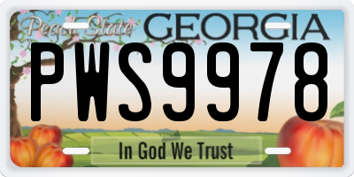 GA license plate PWS9978
