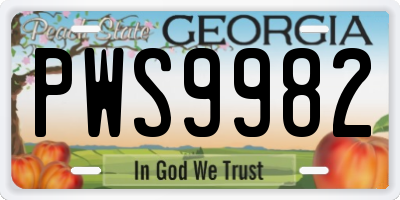 GA license plate PWS9982
