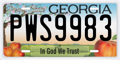GA license plate PWS9983