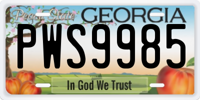 GA license plate PWS9985