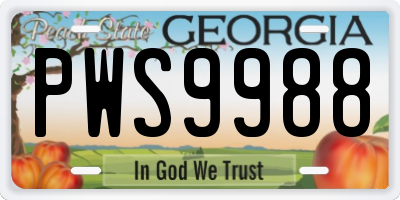 GA license plate PWS9988