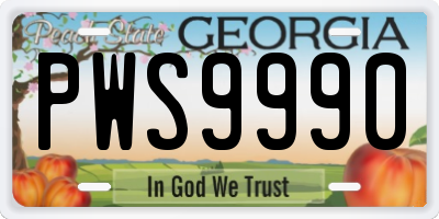 GA license plate PWS9990