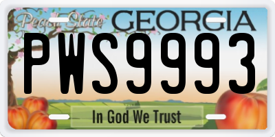 GA license plate PWS9993