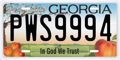 GA license plate PWS9994