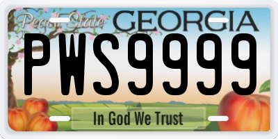 GA license plate PWS9999