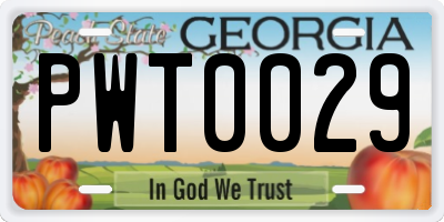 GA license plate PWT0029