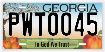 GA license plate PWT0045