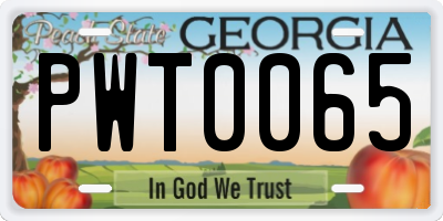 GA license plate PWT0065
