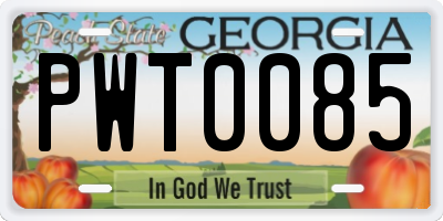 GA license plate PWT0085