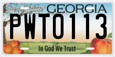 GA license plate PWT0113