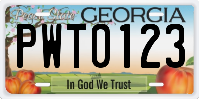 GA license plate PWT0123