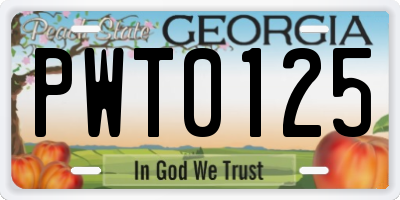 GA license plate PWT0125