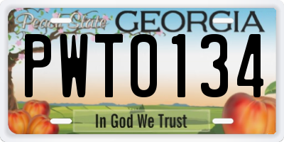 GA license plate PWT0134