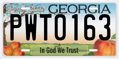 GA license plate PWT0163