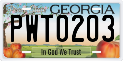 GA license plate PWT0203
