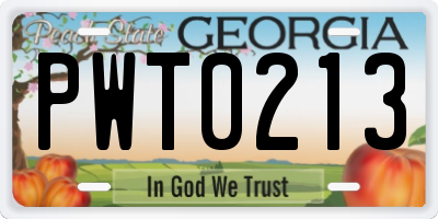 GA license plate PWT0213