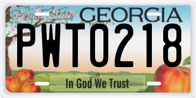 GA license plate PWT0218