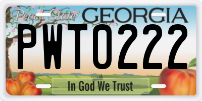 GA license plate PWT0222