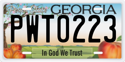 GA license plate PWT0223