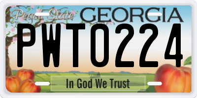 GA license plate PWT0224