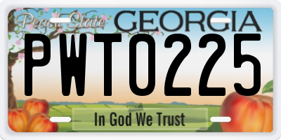 GA license plate PWT0225