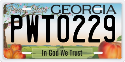 GA license plate PWT0229