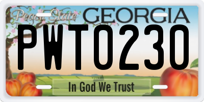 GA license plate PWT0230