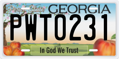 GA license plate PWT0231
