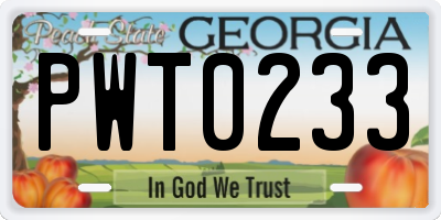 GA license plate PWT0233