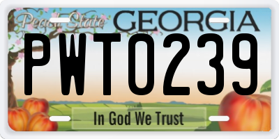 GA license plate PWT0239