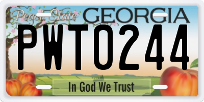GA license plate PWT0244
