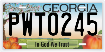 GA license plate PWT0245