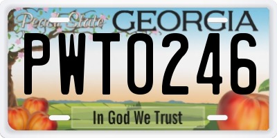 GA license plate PWT0246