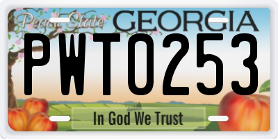 GA license plate PWT0253