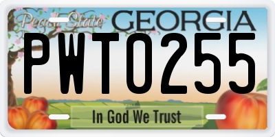 GA license plate PWT0255