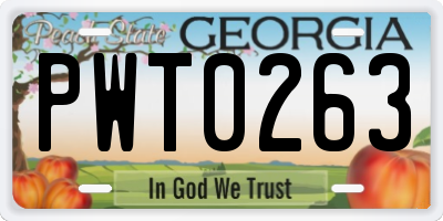 GA license plate PWT0263