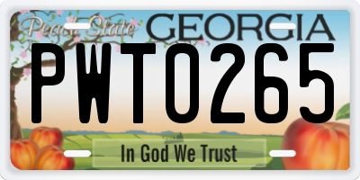 GA license plate PWT0265