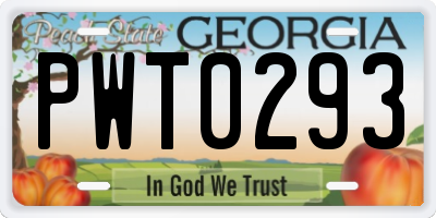 GA license plate PWT0293