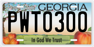 GA license plate PWT0300