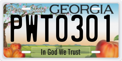 GA license plate PWT0301