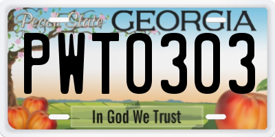 GA license plate PWT0303
