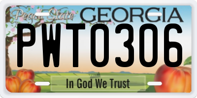 GA license plate PWT0306