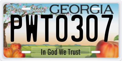 GA license plate PWT0307