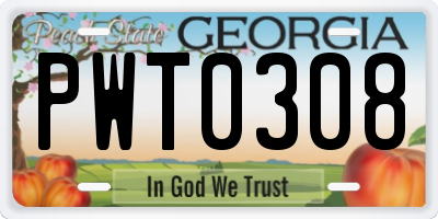 GA license plate PWT0308