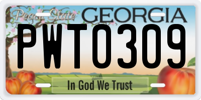 GA license plate PWT0309