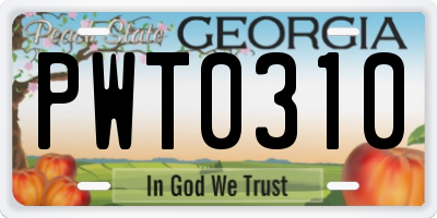 GA license plate PWT0310
