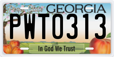 GA license plate PWT0313