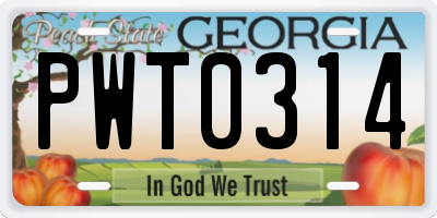 GA license plate PWT0314