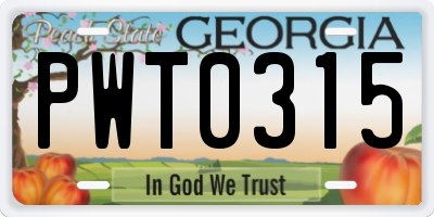 GA license plate PWT0315
