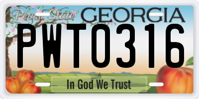 GA license plate PWT0316